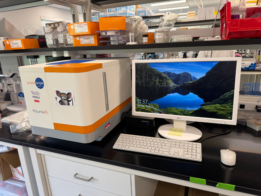 Image of ProteinSimple Maurice S. Protein Analyzer